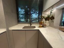 Zion Road (D3), Condominium #465634501